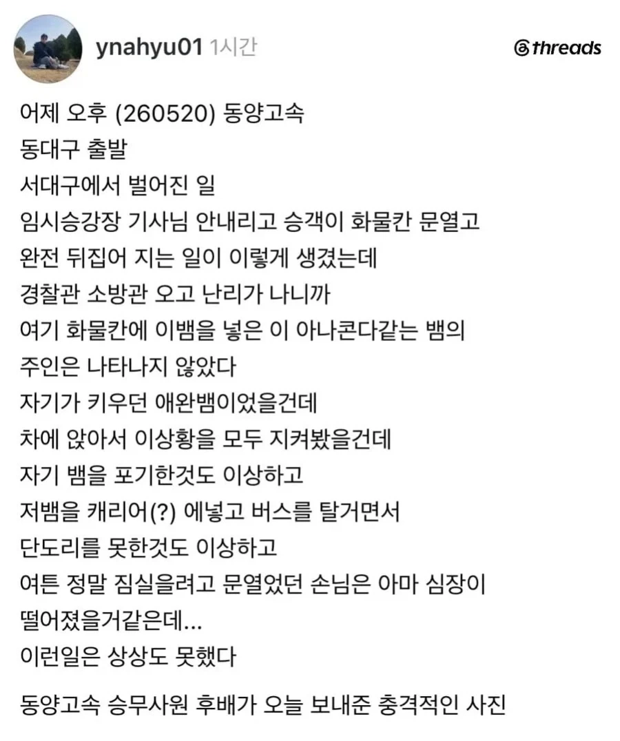 유머 1228 페이지 | TOONZIP 이미지 6