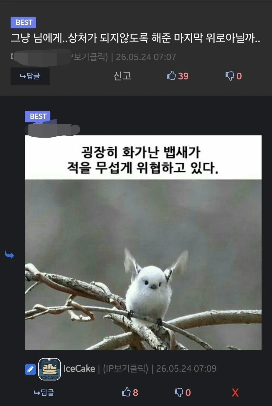 유머 1220 페이지 | TOONZIP 이미지 3