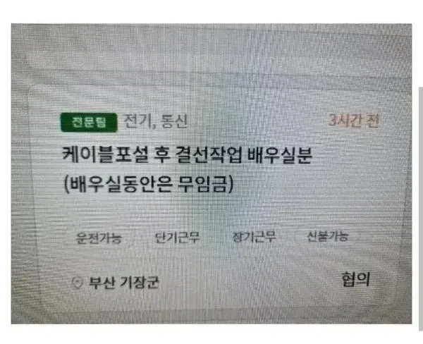 유머 1219 페이지 | TOONZIP 이미지 13