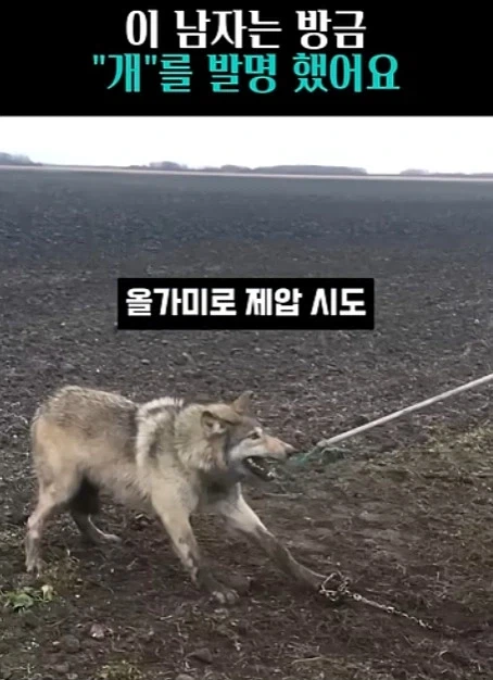 유머 1219 페이지 | TOONZIP 이미지 7