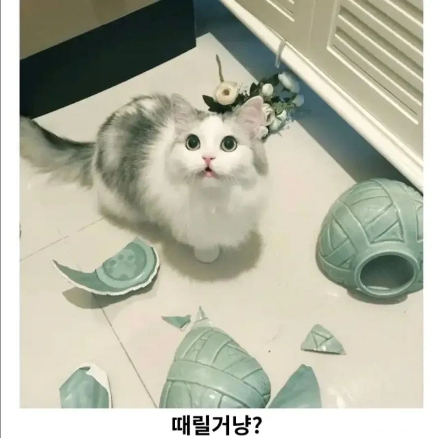 내면의 아름다움이란 얼마나 하찮은가.jpg_2.webp