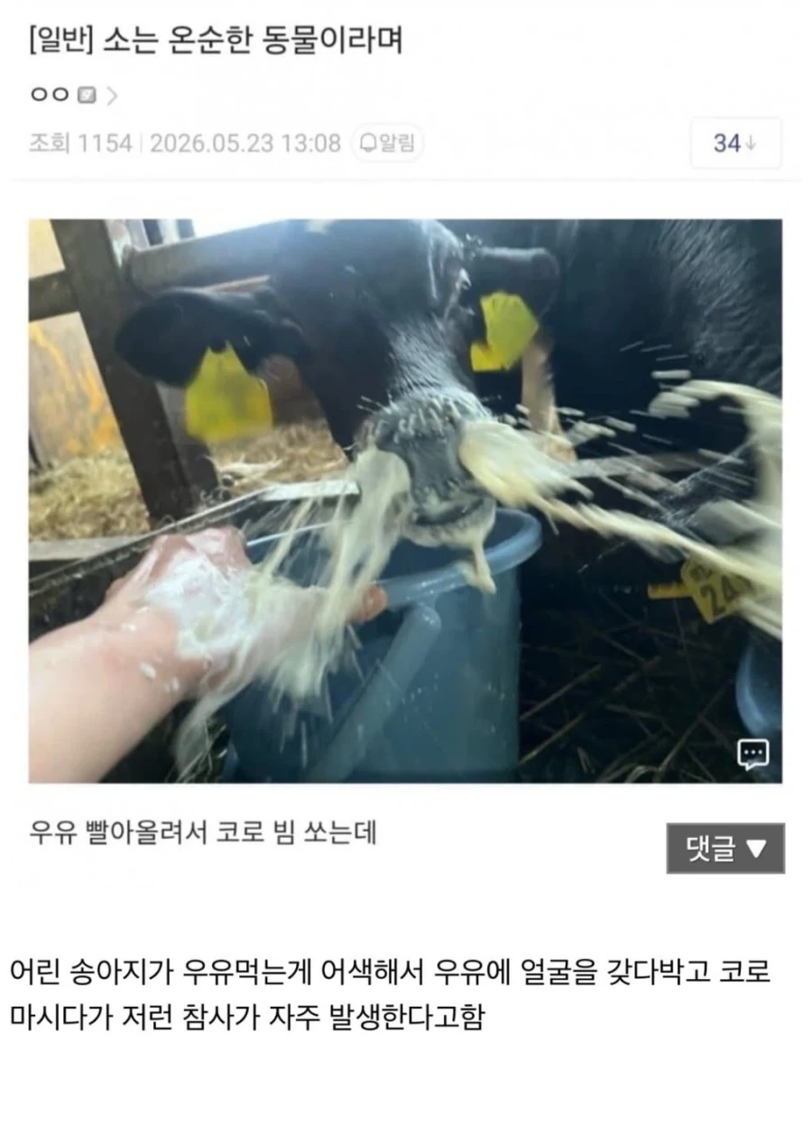 유머 1236 페이지 | TOONZIP 이미지 11
