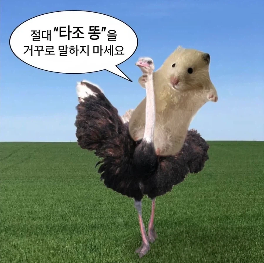 유머 1235 페이지 | TOONZIP 이미지 16