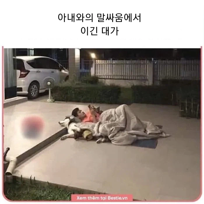 유머 1195 페이지 | TOONZIP 이미지 10