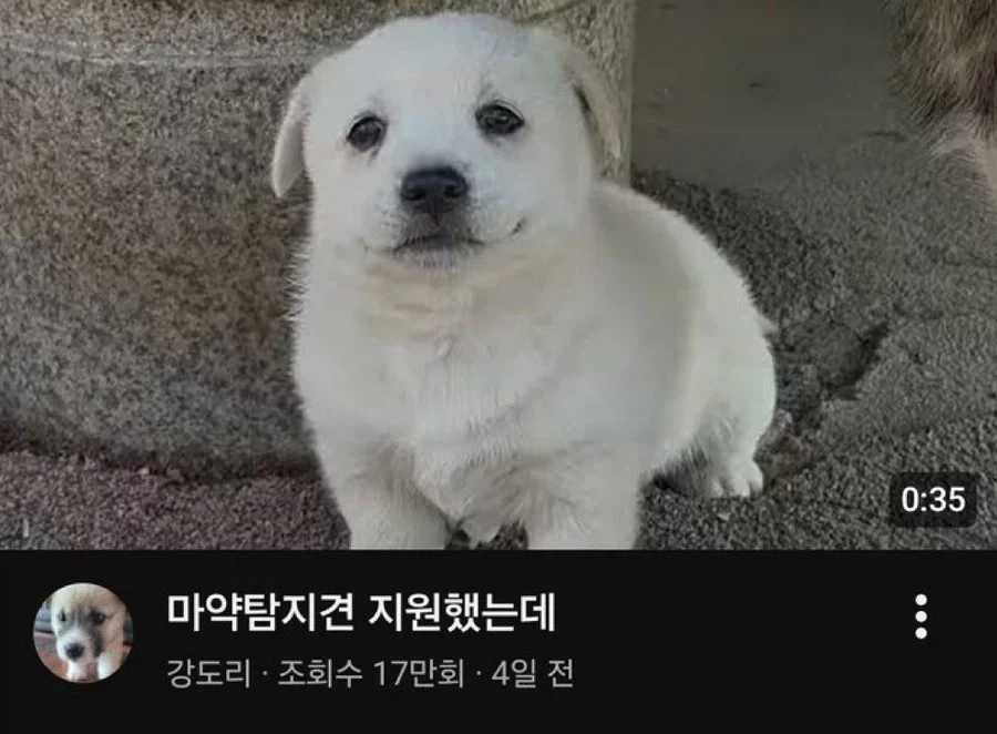 유머 1252 페이지 | TOONZIP 이미지 19