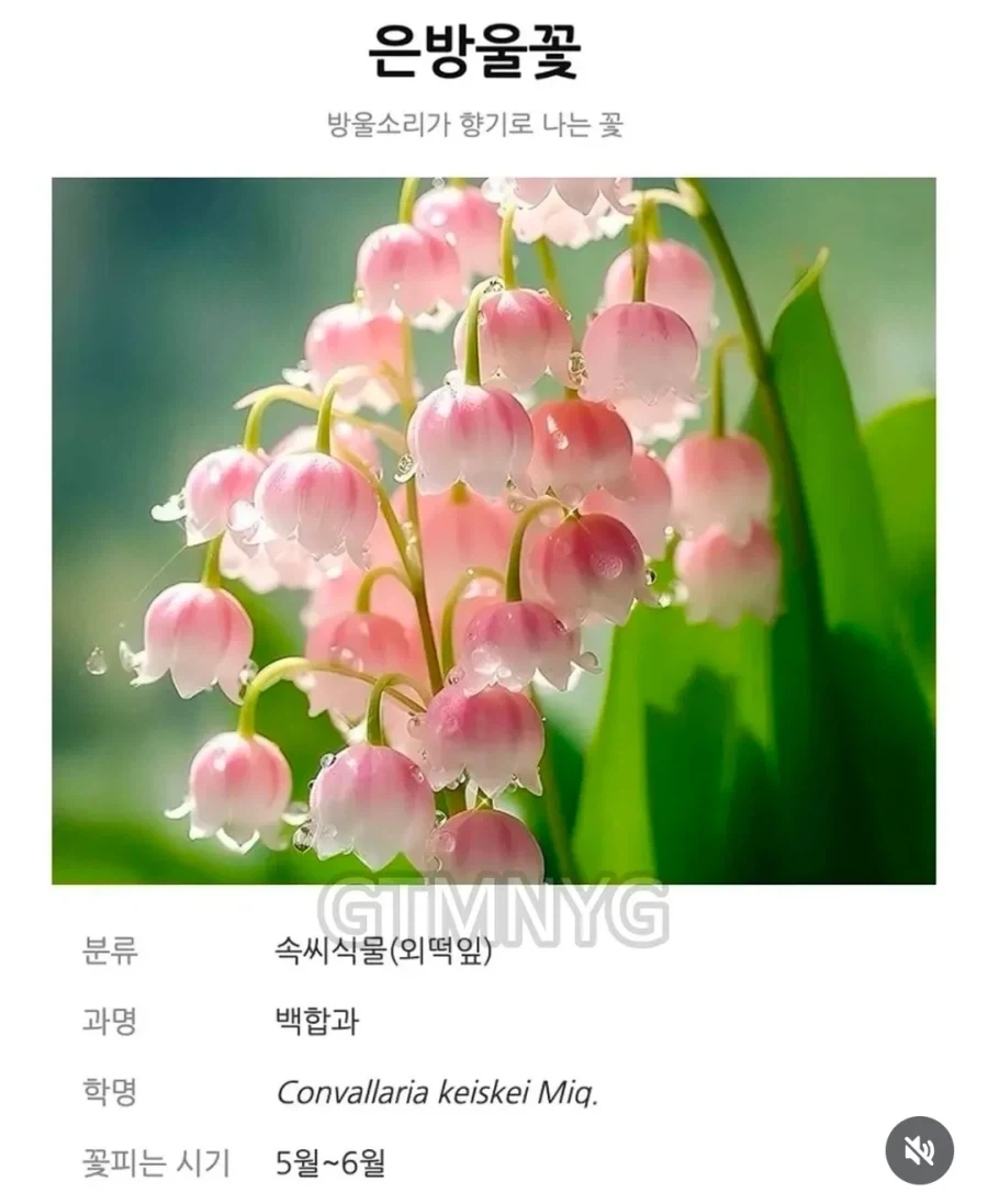 유머 1245 페이지 | TOONZIP 이미지 6