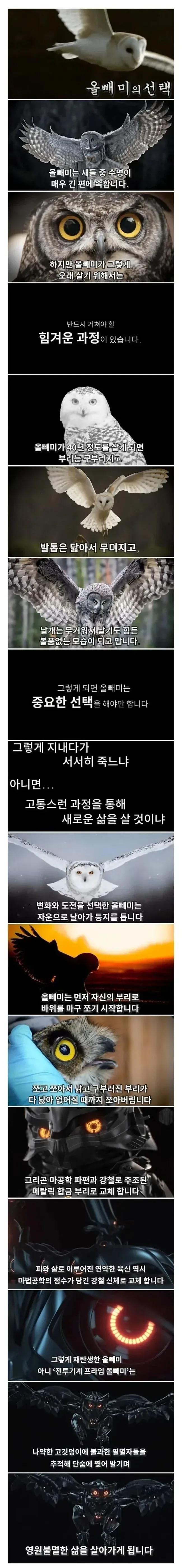 유머 1244 페이지 | TOONZIP 이미지 8