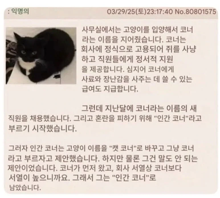 이모네 강아지 테오 vs 사람 태오_9.webp