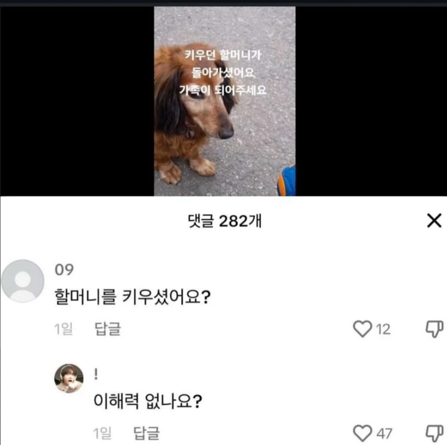유머 1159 페이지 | TOONZIP 이미지 19
