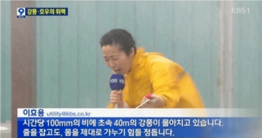 뭔가 있는것 같은 기자들의 이메일_14.webp