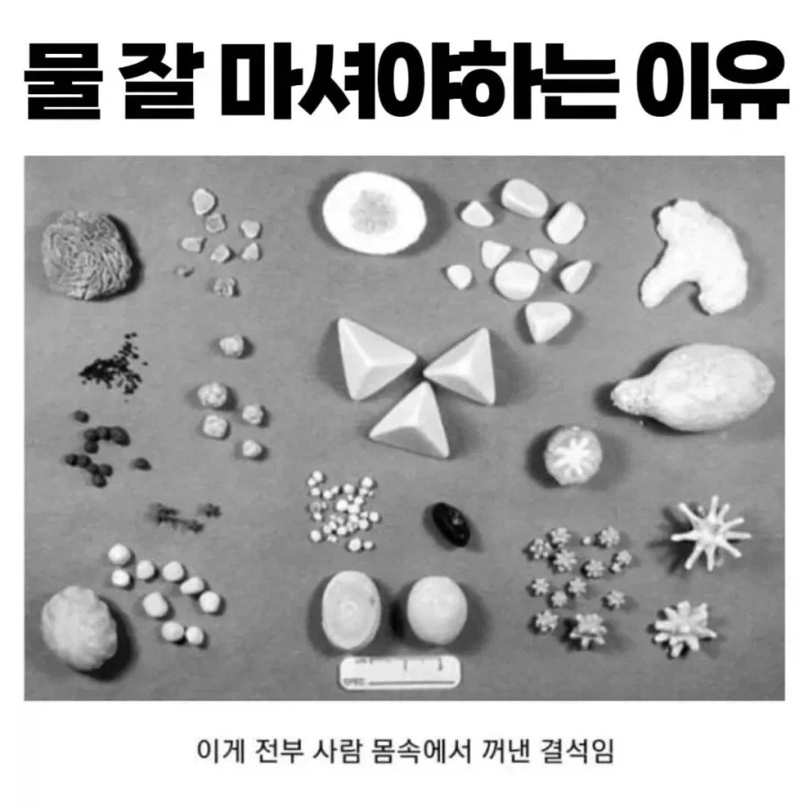 유머 1147 페이지 | TOONZIP 이미지 4
