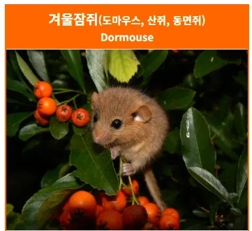 유머 1143 페이지 | TOONZIP 이미지 18