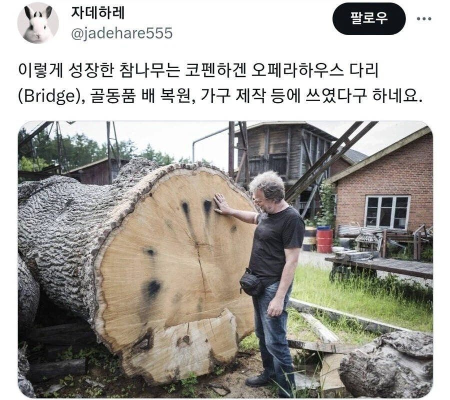 ??? : 200년 전 선조들의 의지가 이제 준비되었습니다!_2.webp