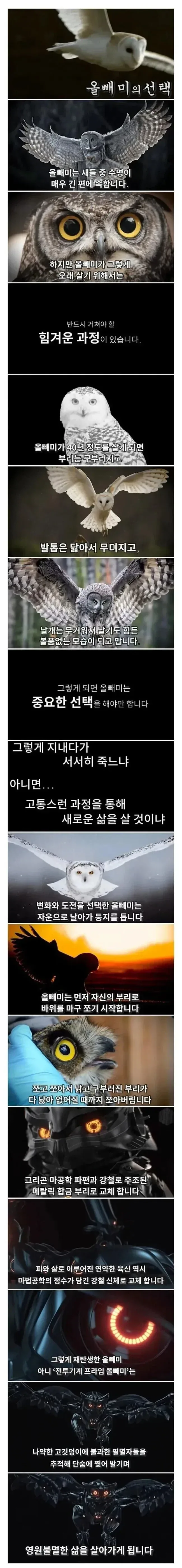 유머 1139 페이지 | TOONZIP 이미지 13