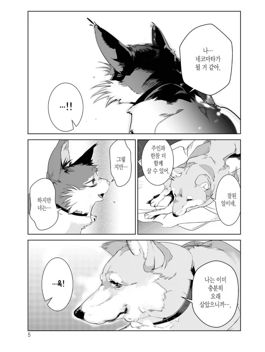 "주인이 죽으면 먼저 죽은 애완동물이 마중나온다는 이야기가 있다" 이미지 2