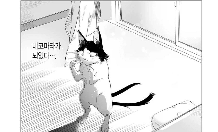 "주인이 죽으면 먼저 죽은 애완동물이 마중나온다는 이야기가 있다" 이미지 4