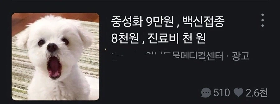 유머 1139 페이지 | TOONZIP 이미지 2