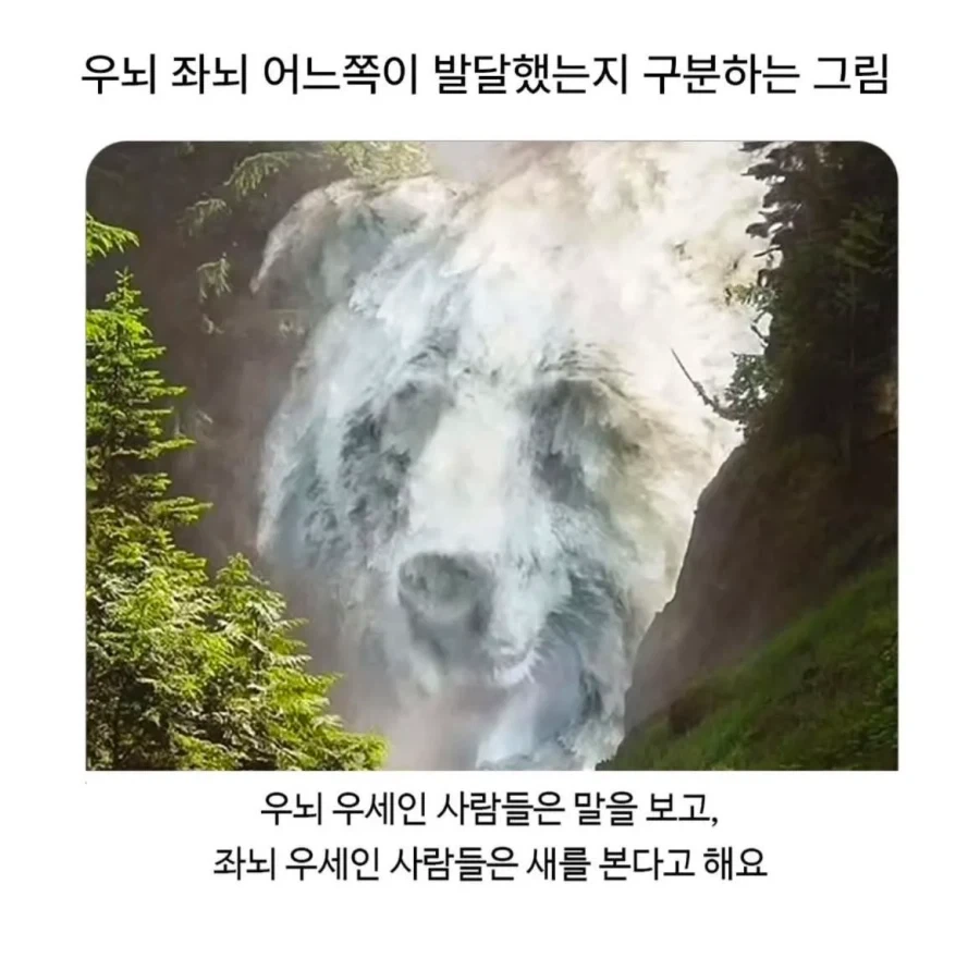 좌뇌 / 우뇌 발달에 따라 다르게 보이는 사진_1.webp