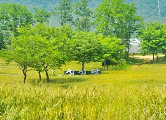 니들은 성심당이 딸기밭만 있는줄 알지!!!_1.webp