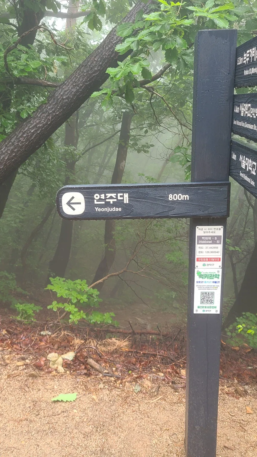 되는 것도 옶고 해서_1.webp