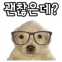 J가 보고 혼절한 P의 여행계획.jpg_2.png