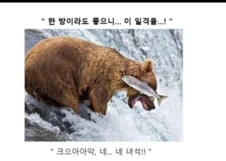 AI로 개드립 짤을 만들기 전엔 말로만 했지..._7.webp
