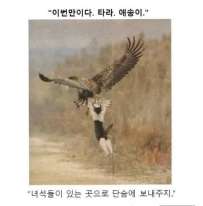 AI로 개드립 짤을 만들기 전엔 말로만 했지..._8.webp