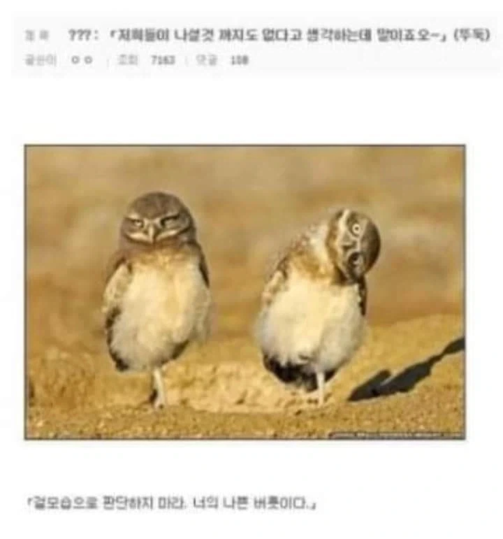 AI로 개드립 짤을 만들기 전엔 말로만 했지..._9.webp