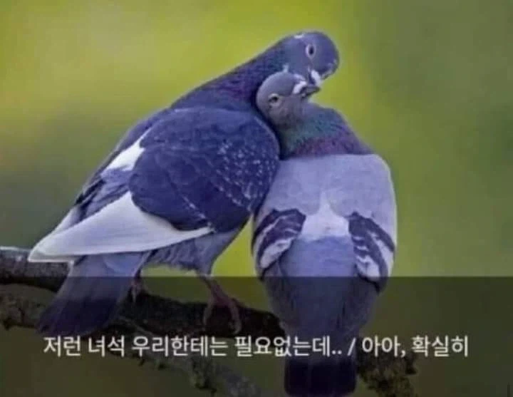 AI로 개드립 짤을 만들기 전엔 말로만 했지..._16.webp