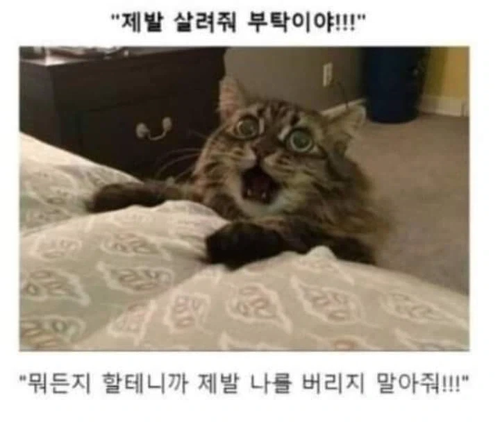 AI로 개드립 짤을 만들기 전엔 말로만 했지..._19.webp
