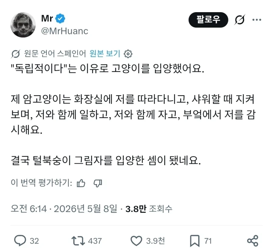 "고양이 입양했는데 이거 맞음?" 이미지 2