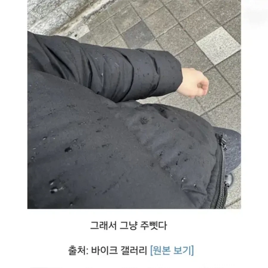 낭만의 바이크갤_2.webp