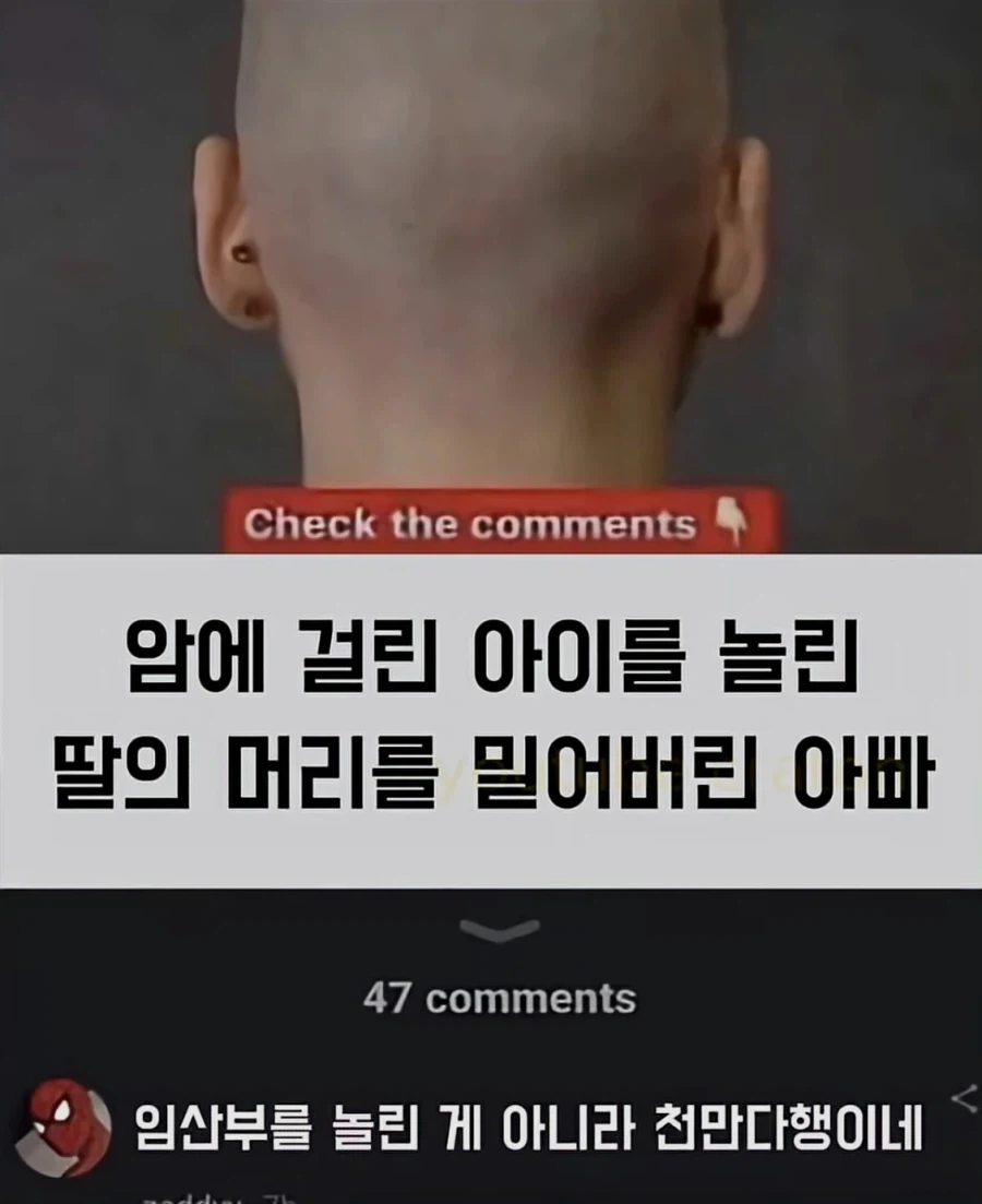 이거 개꼴임_1.webp