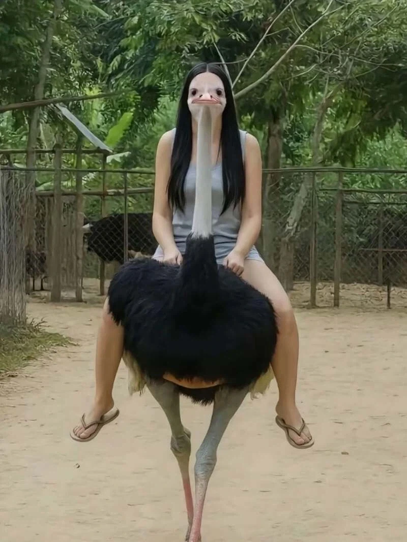 남자친구의 촬영 기술_12.webp