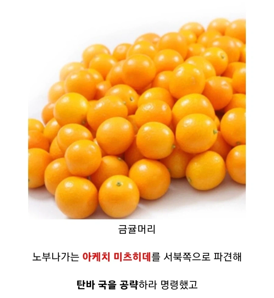 일본 전국시대에서 가장 미스테리한 배신_2.webp