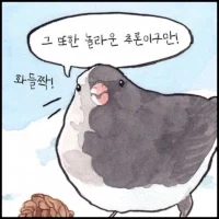 지구가 곡면인 걸 알았던 고대인_2.webp