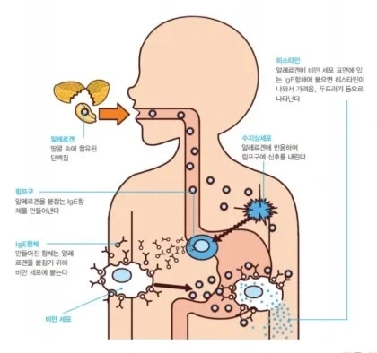 나 사실 양성애자임..._1.webp