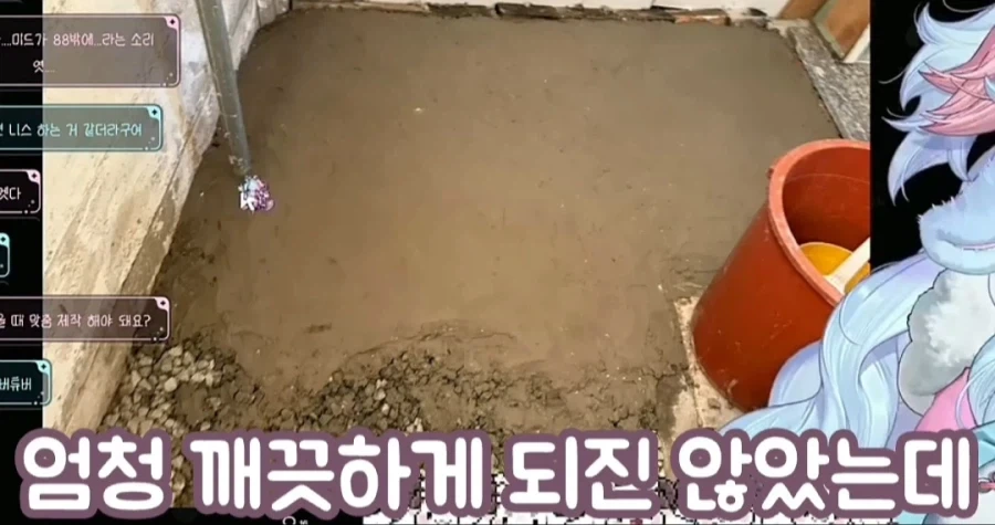 사람 묻으려면 시멘트 500kg 필요하다는 여성 방송인_4.webp