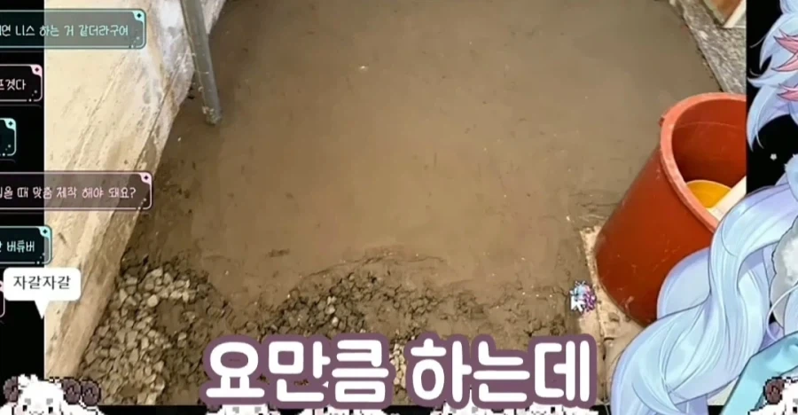 사람 묻으려면 시멘트 500kg 필요하다는 여성 방송인_6.webp