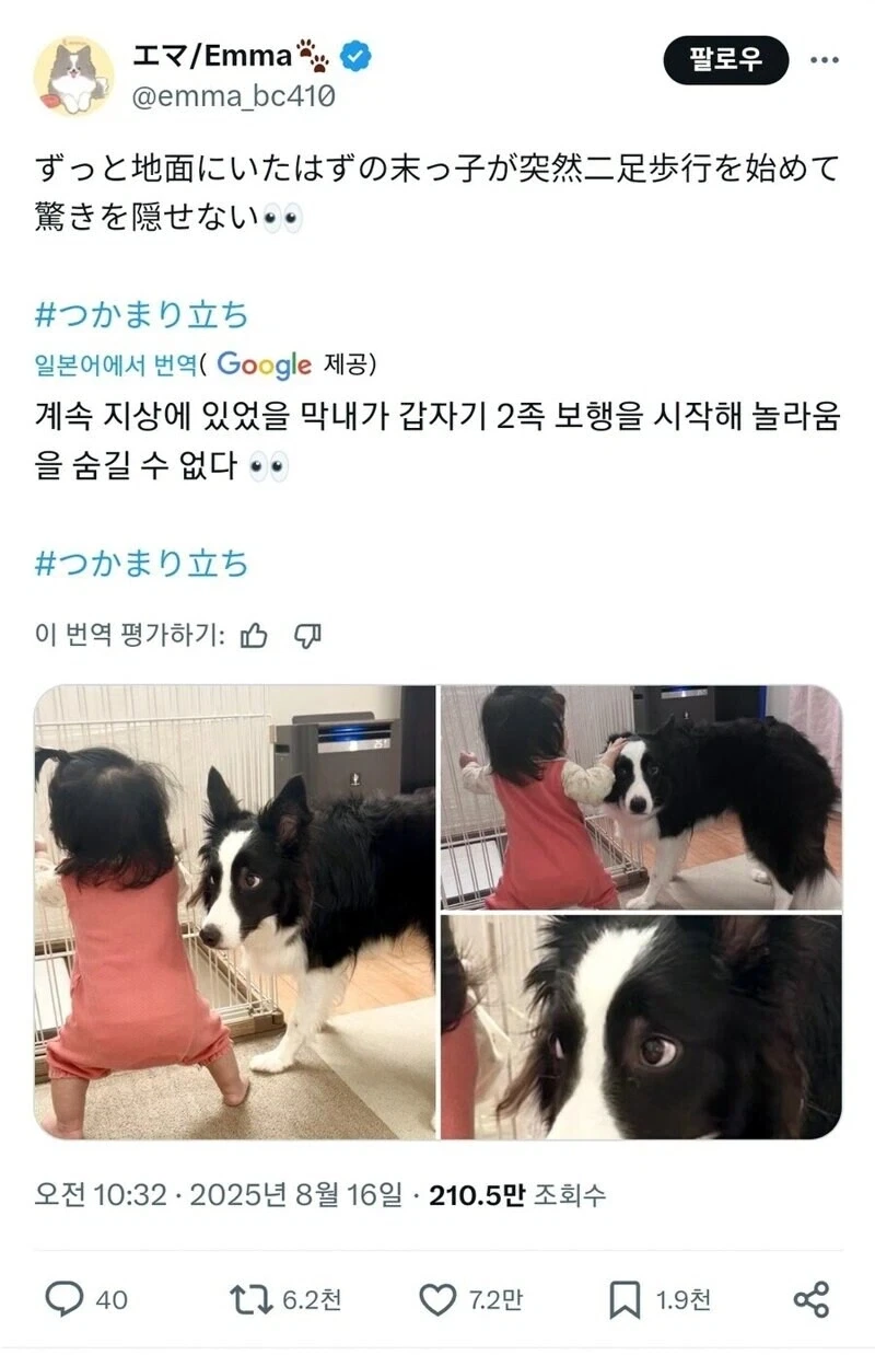 유머 1209 페이지 | TOONZIP 이미지 10
