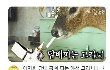 유머 1207 페이지 | TOONZIP 이미지 3