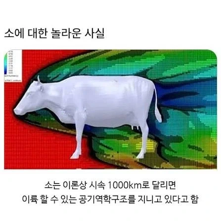 유머 1192 페이지 | TOONZIP 이미지 6