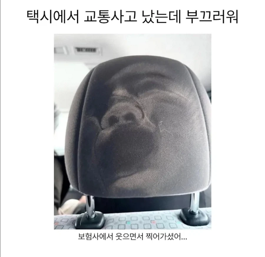 유머 1186 페이지 | TOONZIP 이미지 12