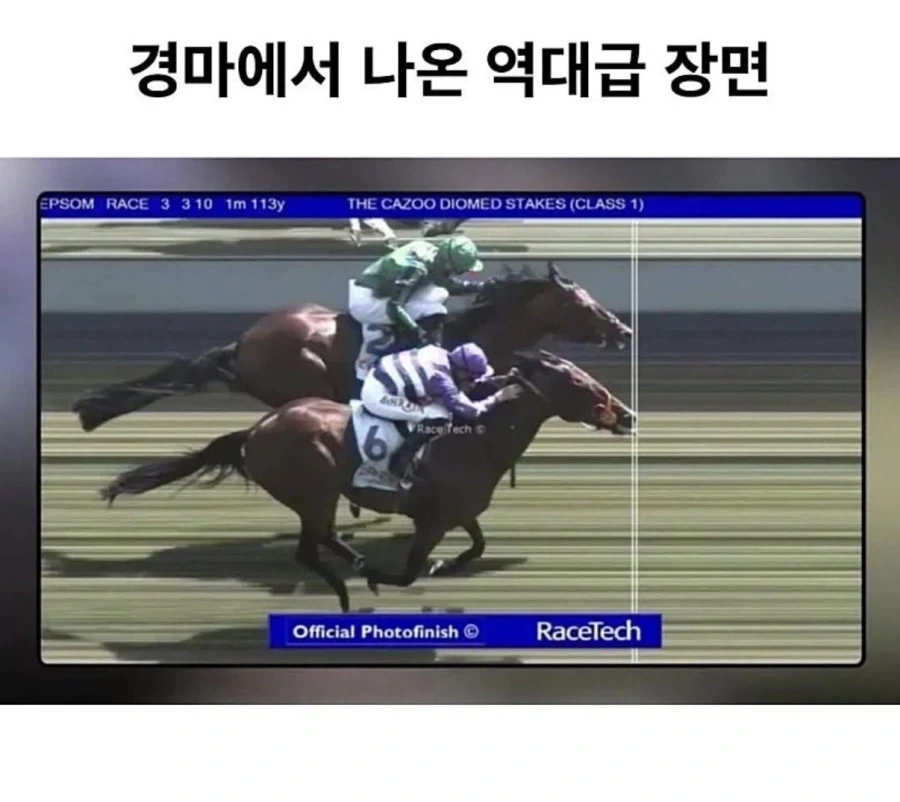 역대급 경마 레이스.jpg_1.webp