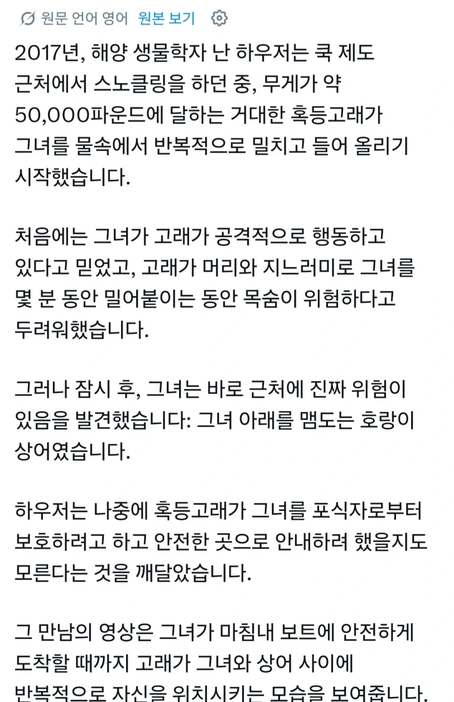 혹등고래는 대체 무슨 동물일까_1.webp