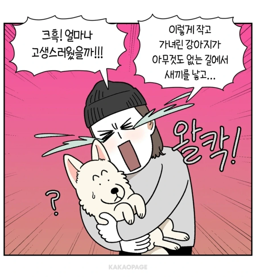 안쓰러운 강아지의 사연...._2.webp
