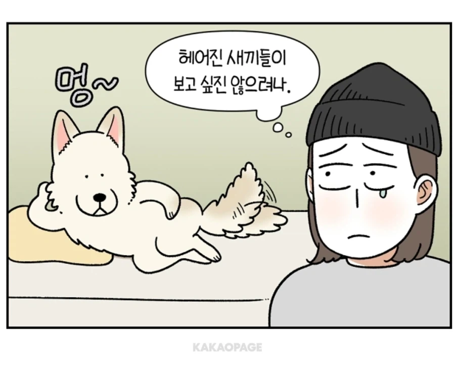 안쓰러운 강아지의 사연...._3.webp