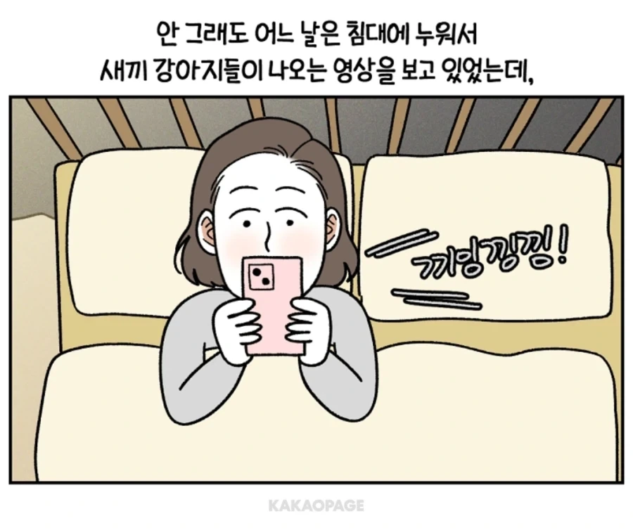 안쓰러운 강아지의 사연...._4.webp