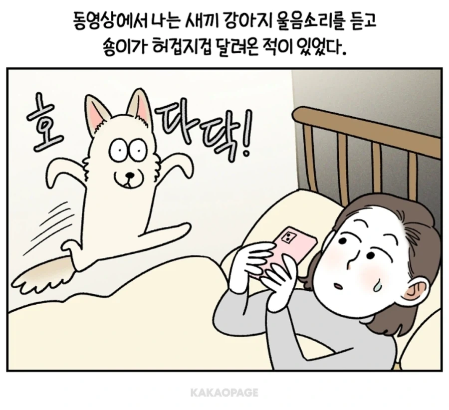 안쓰러운 강아지의 사연...._5.webp