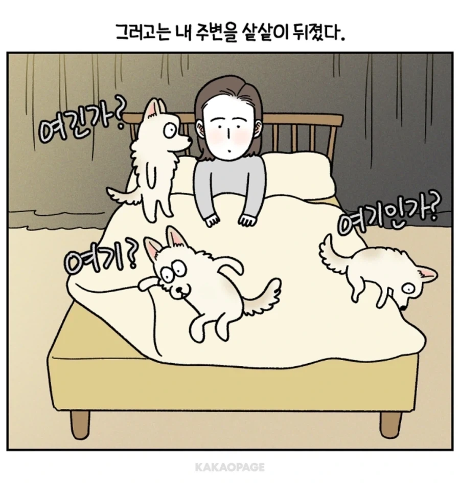 안쓰러운 강아지의 사연...._6.webp